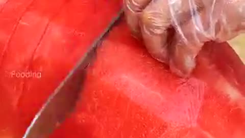 The best video in the world