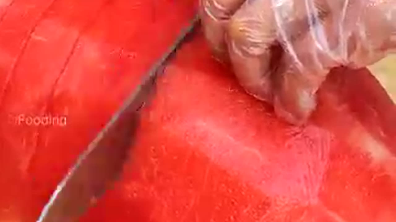The best video in the world