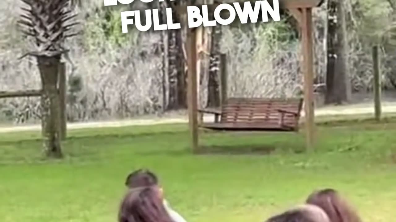 Police Chase to the Alter - Only in this Epic Wedding Moment...🤣