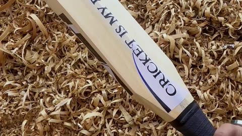 🎯 Heega V-Shaped Mongoose Kashmir Willow Cricket Bat | Perfect Choice for Every Cricketer