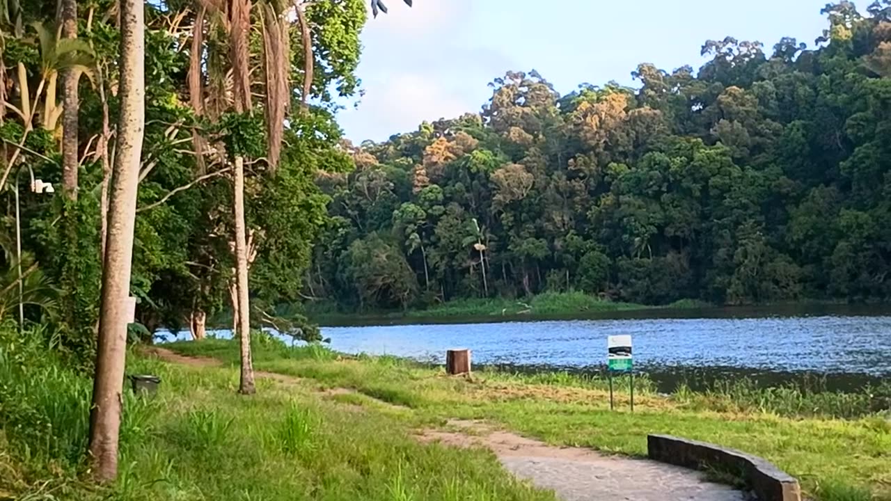 24.2.2025 Barron River Esplanade, Kuranda