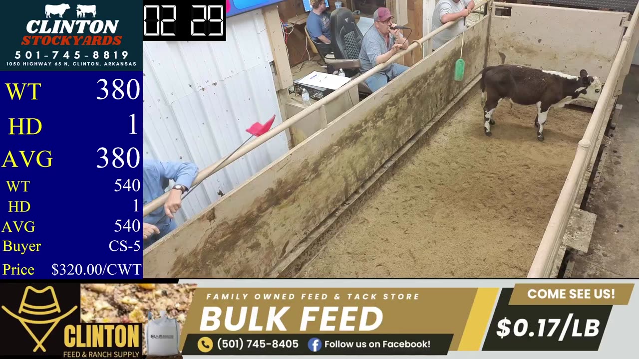 6/28/2025 - Cattle Auction - Clinton Stockyards