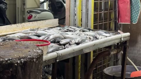 Fresh Fish Market Haul – A Journey to the Heart of Local Seafood