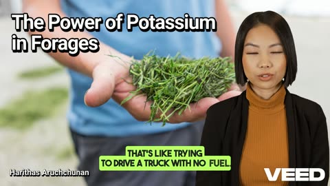 Potassium in Forages:The Unsung Hero of Pasture and Dairy Cattle Health