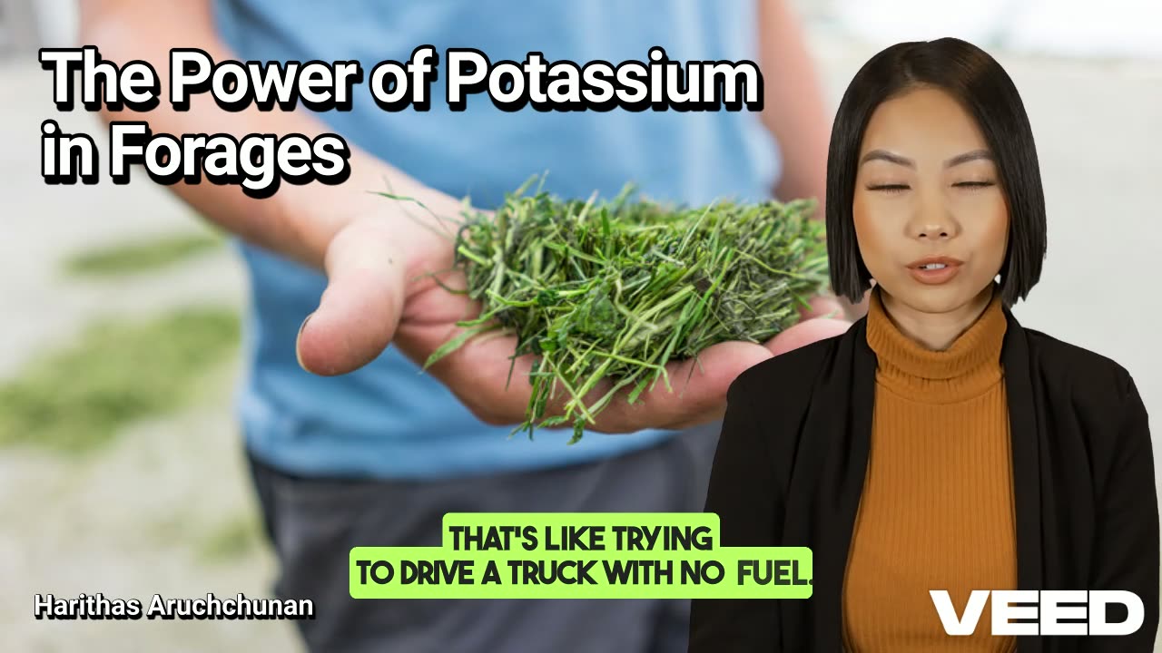 Potassium in Forages:The Unsung Hero of Pasture and Dairy Cattle Health