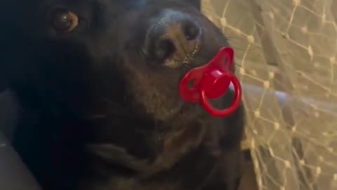 😂