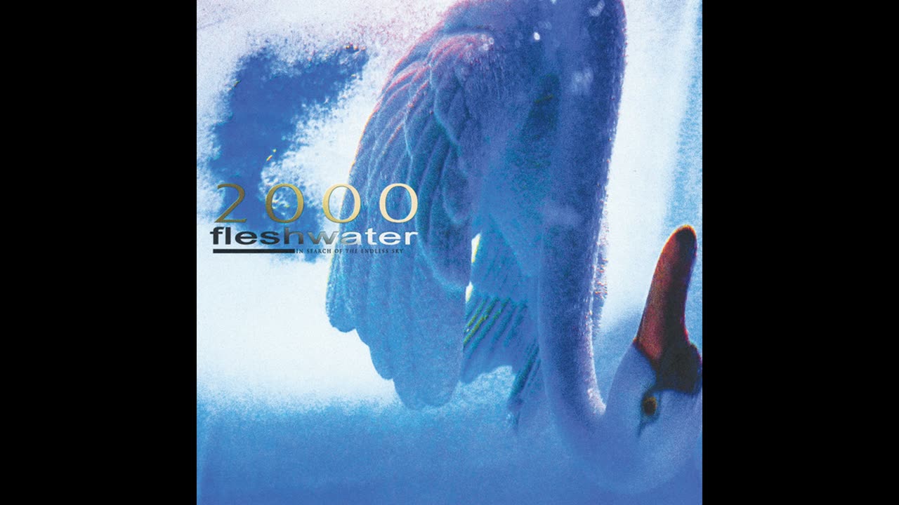 Fleshwater - jetpack (SLOWED + REVERB)