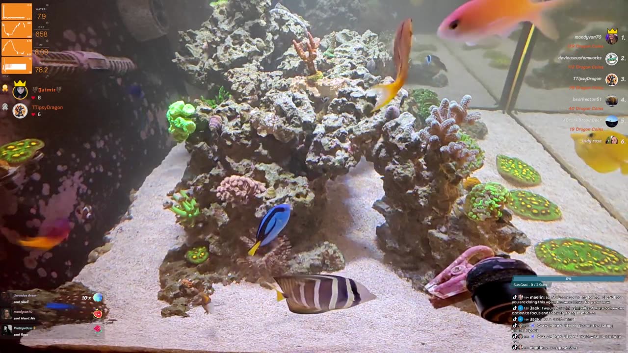 24/7 Real Live Reef Stream