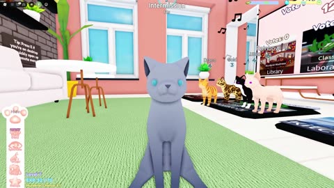 WE BECAME EVIL CATS in Roblox MURDER MYSTERY... PURE CHAOS 💀🔥