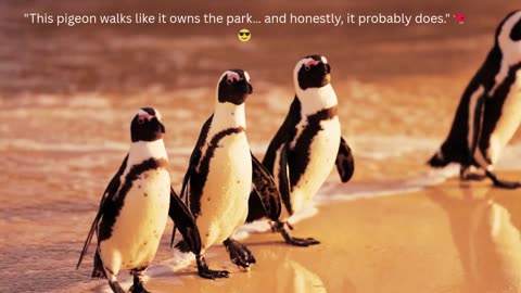 Confident Pigeon Walks Like It Owns the Park