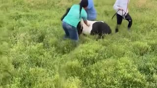 Funny video