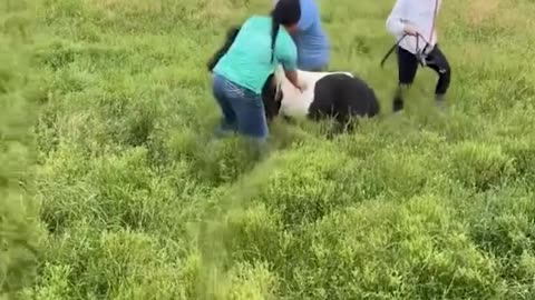 Funny video