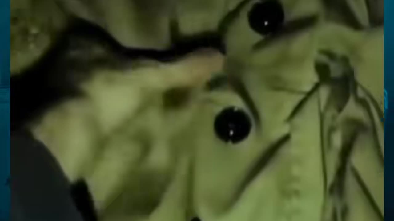😱👽 The Scariest UFO Sighting I've Ever Seen! | TheHauntingHour