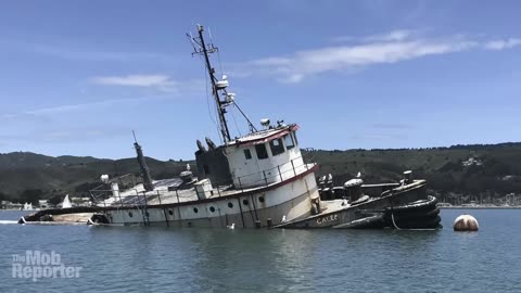 Probing the trans vegan tech cult that's making global headlines