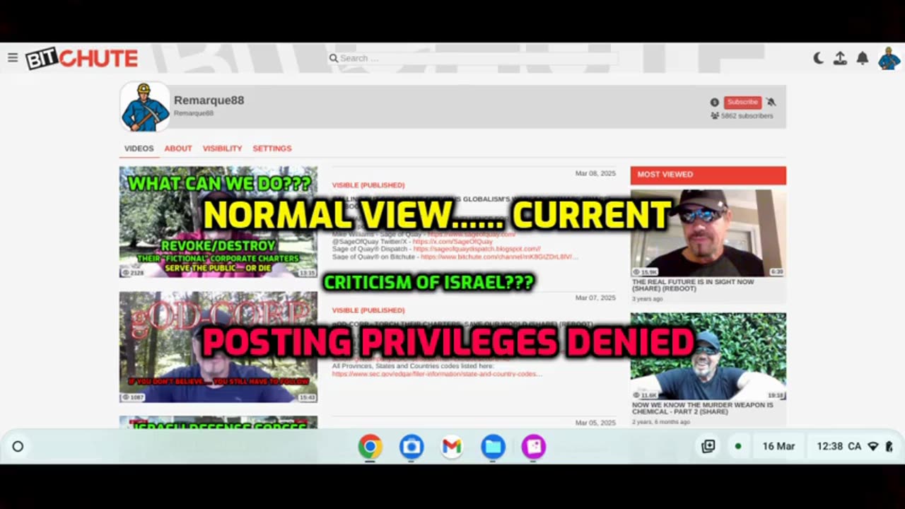 ISRAEL RUNS BITCHUTE'S PUBLISHING QUEUE COVERTLY - RAY (CEO) FEIGNS CONCERN, BLAMES VICTIMS - Reloaded from Remarque88