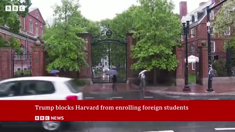 US President Trump blocks Harvard from enrolling foreign students BBC News