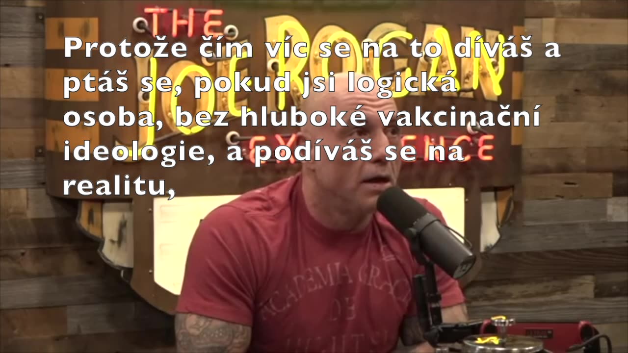 Těžké kovy v lidském těle