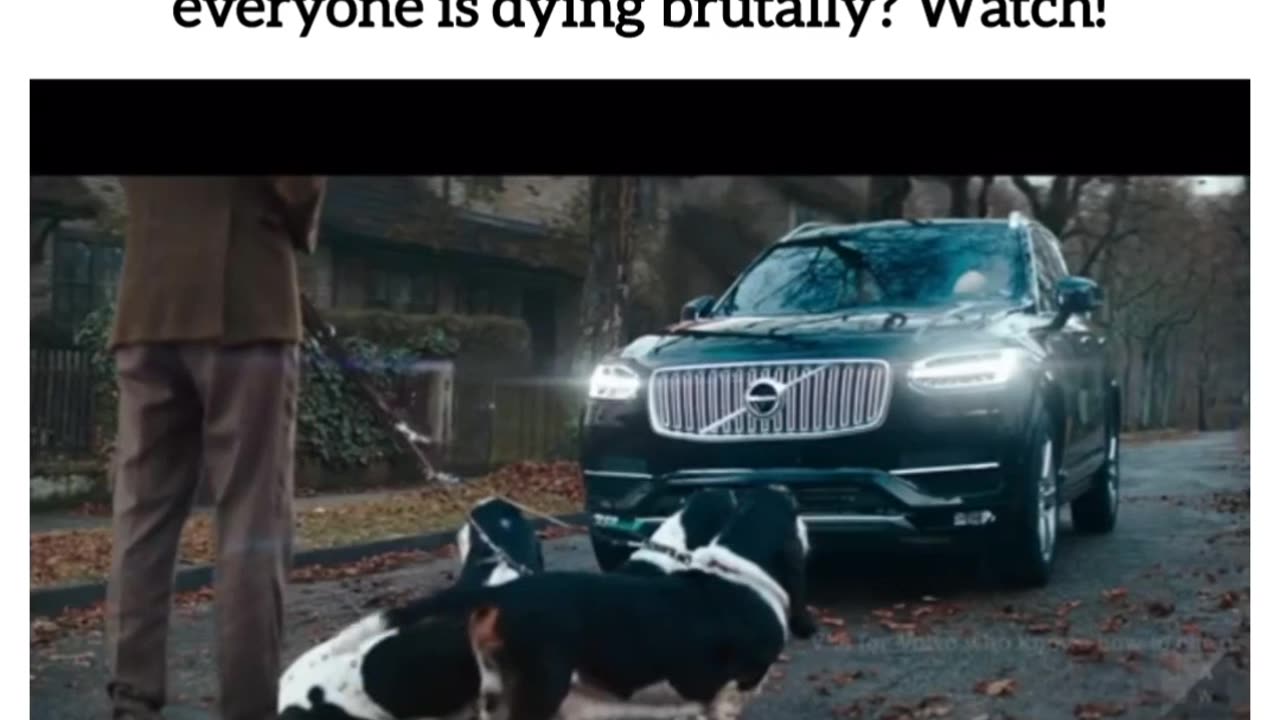 πβ¨ Side-Splitting Comedy | Hilarious Videos to Brighten Your Day