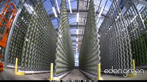 Hydroponic Lighting 24 Hour Timelapse in a Vertical Farm at Eden Green Technology