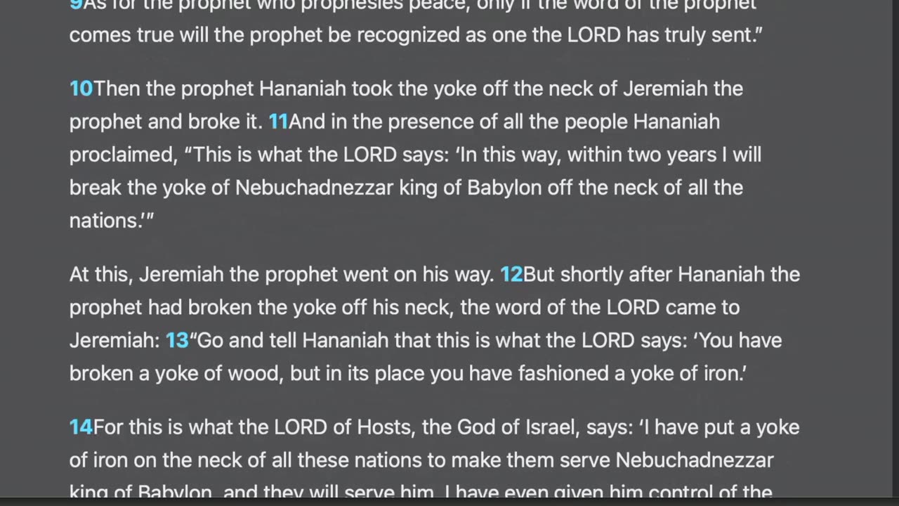 Jeremiah 28