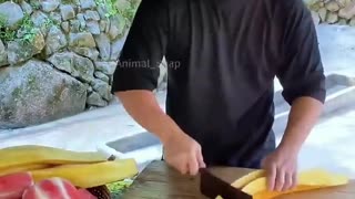 🤣🥗 The Funniest Giant Salad You'll See All Day | FunFM