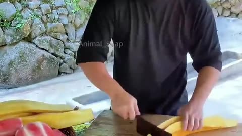 🤣🥗 The Funniest Giant Salad You'll See All Day | FunFM