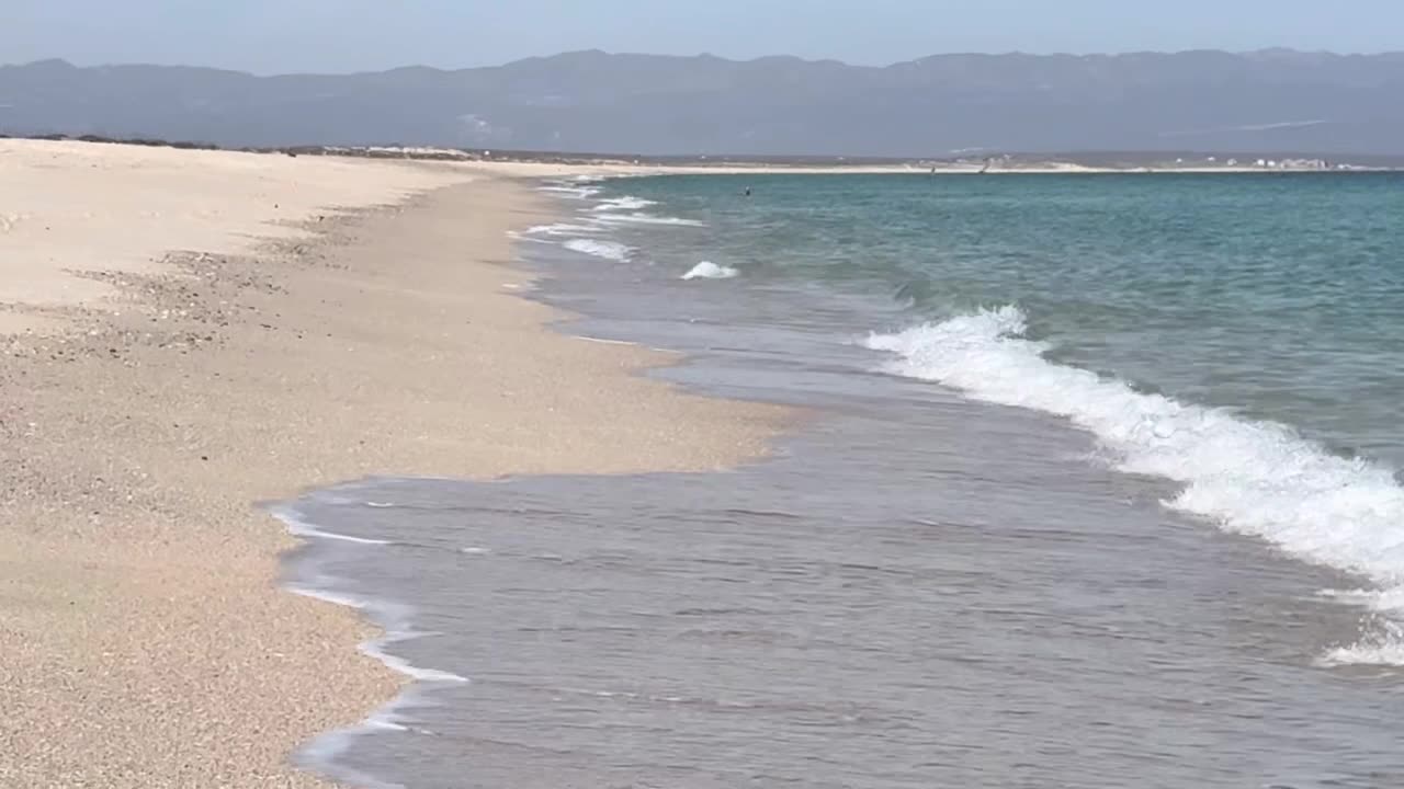 Improve Mitochondrial Function & Health: Supplements, Diet, & Habits