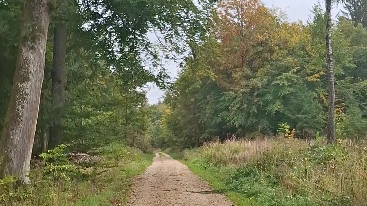 From a culture of participatory annihilation to a culture of holistic integration - Part 2