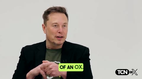 FLASHBACK⚡Elon: 'Nobody Assassinates Puppets – Kamala's Safe, Trump's an Ox!