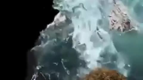 THE MOON AND TIDES LIE