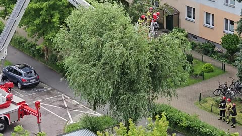 Interwencja straży pożarnej [Rolka]