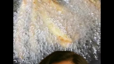 Tasty brinjol