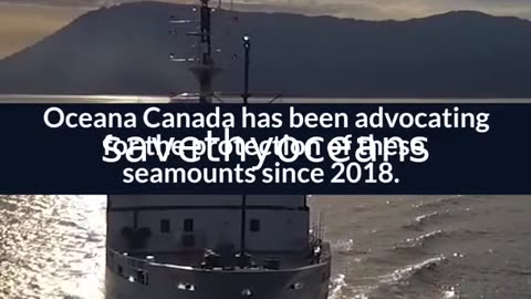 Celebrating Tang. É¢wan Â· á¸¤aÄxÊ·iqak Â· TsigÌ±i Canada's Newest Marine Protected Area