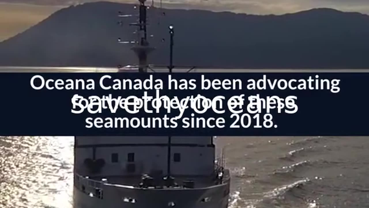Celebrating Tang. É¢wan Â· á¸¤aÄxÊ·iqak Â· TsigÌ±i Canada's Newest Marine Protected Area