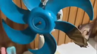 😂💥 This Is Out of Control! | FunFM