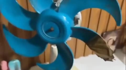 😂💥 This Is Out of Control! | FunFM