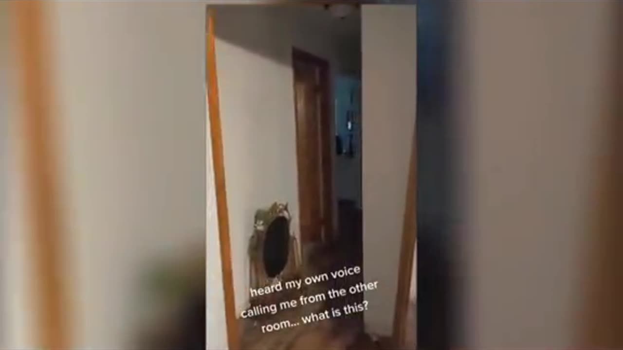 😱🏡 What's Happening in This Man's Apartment? Ghost Caught on Camera! | TheHauntingHour