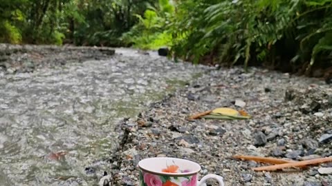 ☕ Morning Coffee at the Farm 🇵🇭 Fresh Air & River Sounds 🌿