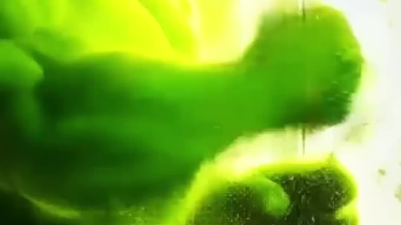 The Kitten Transform INto Giant