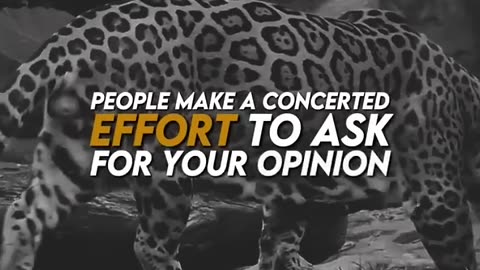 Motivational Quotes