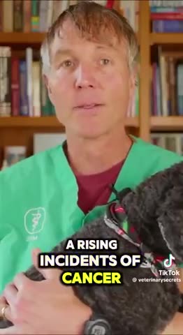 Don't vaccinate your pets