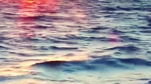 How to enhance your well-being | Relaxing Piano Music 🎹