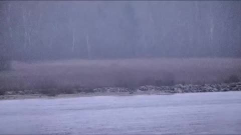 🇪🇪 Three Russian border guards crossed into Estonian territory for around 20 minutes on Wednesday,