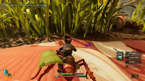 Roach Head Location Grounded 2
