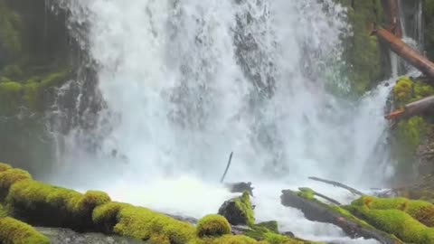 Beautiful World - Beautiful places in the World #shorts #shortsvideo #NaturalVideos #naturelover