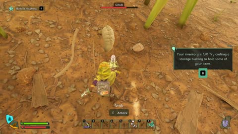 Sturdy Quartzite Shard Location Grounded 2