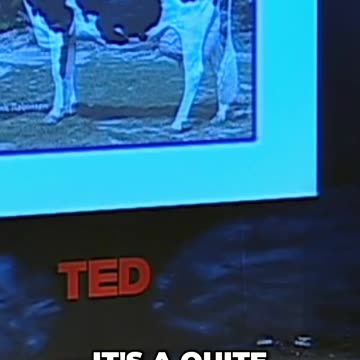 Gemach Kids - Why World Religions Should be Taught in Schools