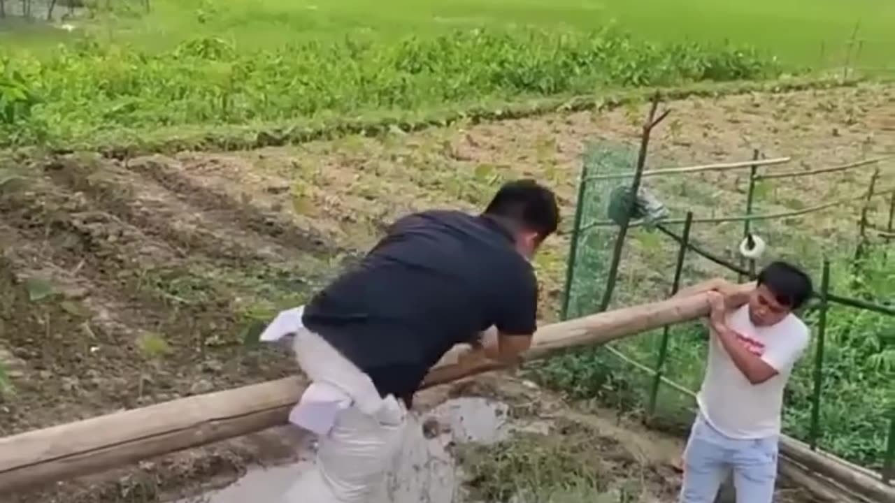 Best Funny, Funny All