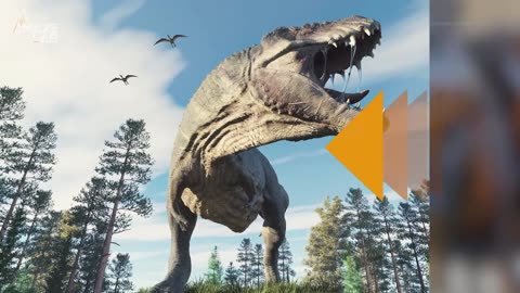 The Mighty T-Rex: Actually Three Different Species?