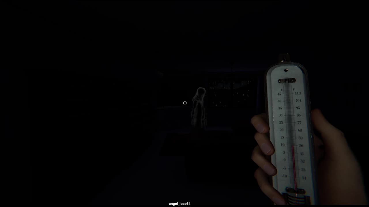 Amatures Find Out How To Play Phasmophobia The Hard Way (short)